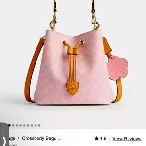 Coach bucket bag